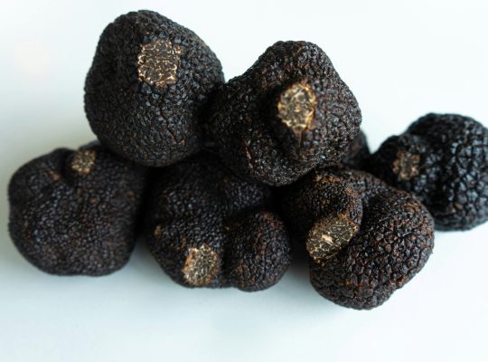 Les secrets pour identifier une truffe fraiche