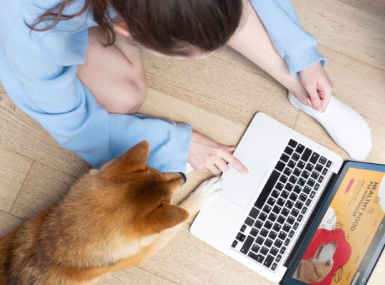 Conseils pour intégrer la lecture de blogs animaliers dans votre routine
