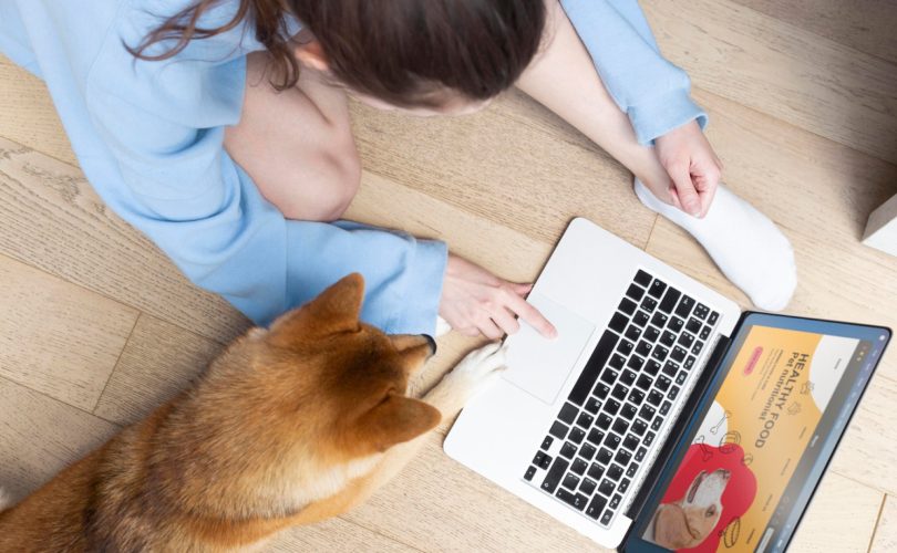 Conseils pour intégrer la lecture de blogs animaliers dans votre routine