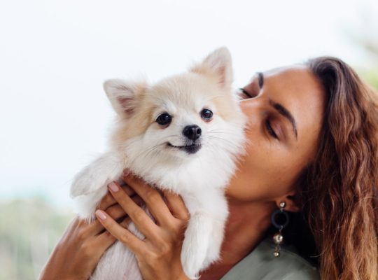 Conseils pour bien assurer votre animal de compagnie