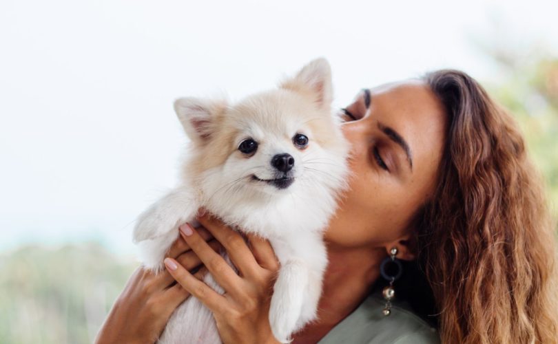 Conseils pour bien assurer votre animal de compagnie