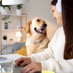 Assurance maladie pour chiens : pourquoi est-ce essentiel ?