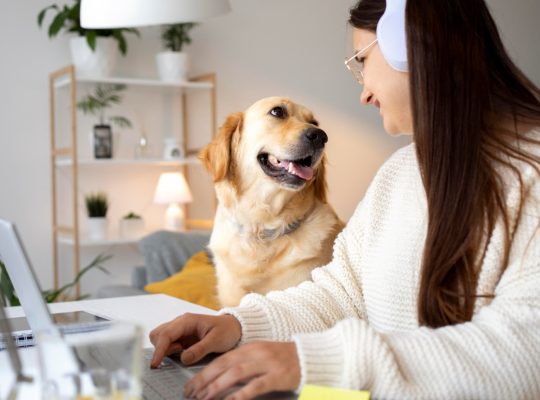 Assurance maladie pour chiens : pourquoi est-ce essentiel ?