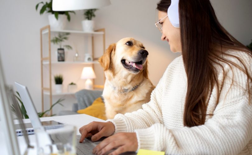 Assurance maladie pour chiens : pourquoi est-ce essentiel ?