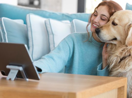 Assurance pour chien : faire face à l'imprévu en protégeant son compagnon