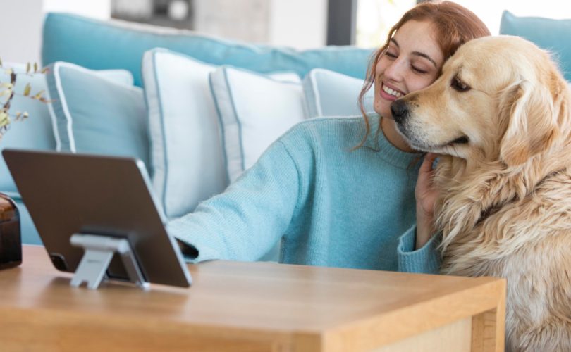 Assurance pour chien : faire face à l'imprévu en protégeant son compagnon