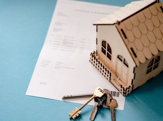 Investissement immobilier : êtes-vous plutôt appartement ou maison ?