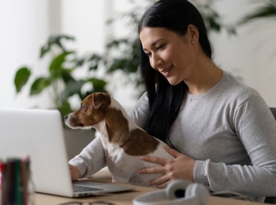 Assurer son animal : tranquillité d’esprit pour vous et protection pour lui