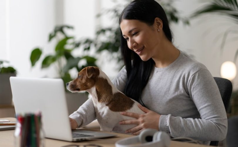 Assurer son animal : tranquillité d’esprit pour vous et protection pour lui